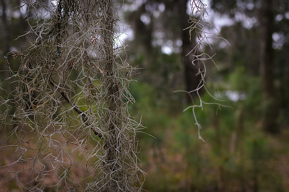 2013_03_01_06295_d300