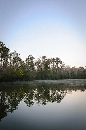 2013_03_02_06350_d300