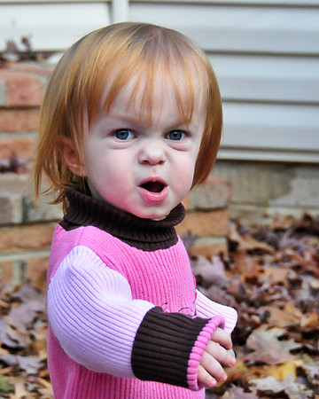2007-12-01_00130_d300.test.photos_d300