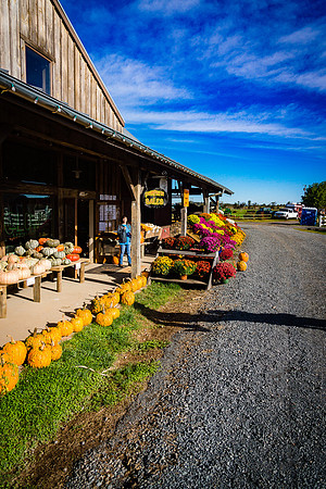 2015-10-10_0573- SonyNEX7
