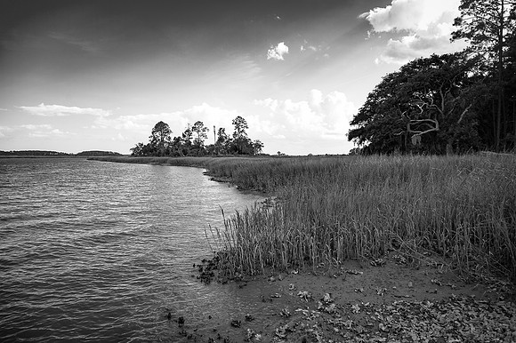 2015_07_02_04677_Nikon_Df-2