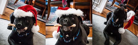 MagnumChristmas
