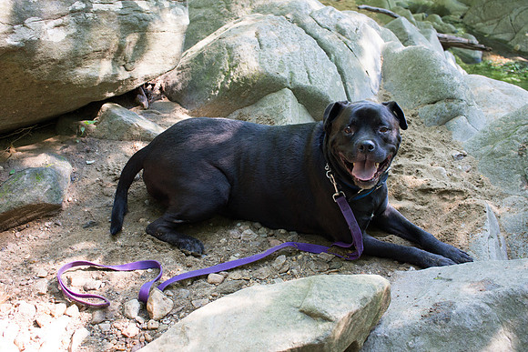 20120603-00575- SonyNX7
