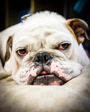 2013-11-16_5509- SonyNEX7