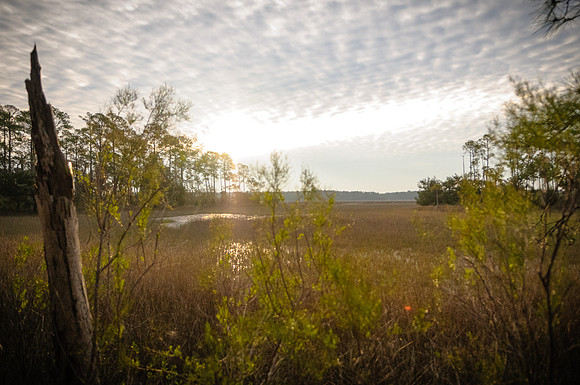 2013_03_01_06063_d300